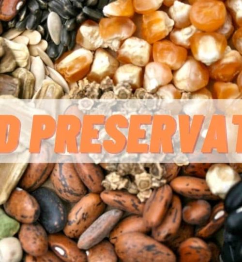 Seed-Preservation